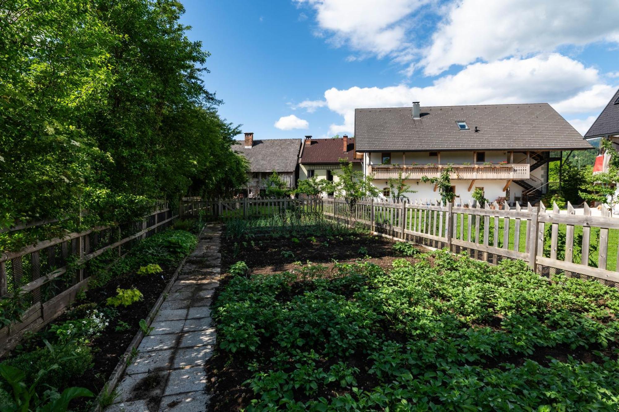 Farm stay Turisticna Kmetija Grabnar Bled