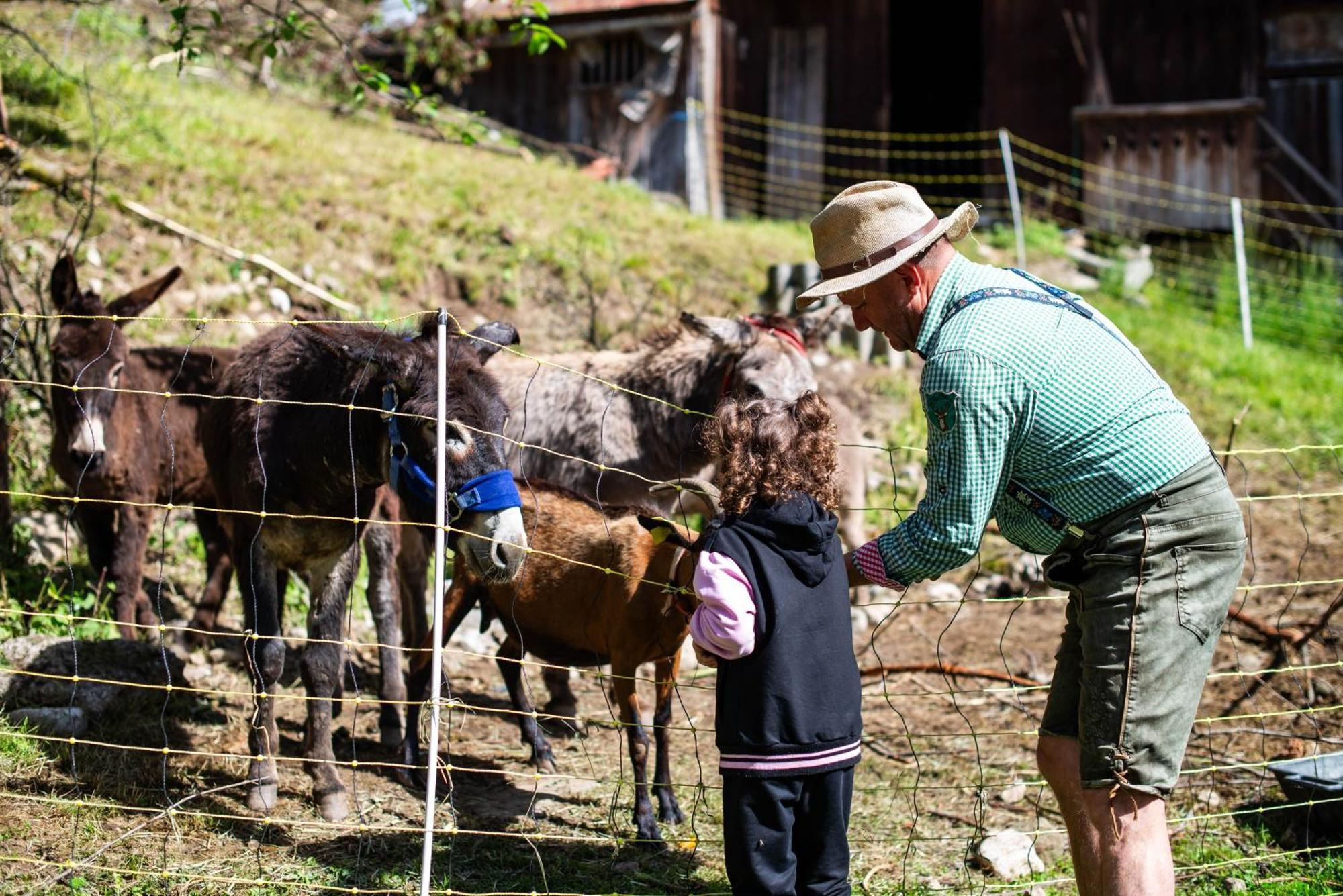 Farm stay Turisticna Kmetija Grabnar *