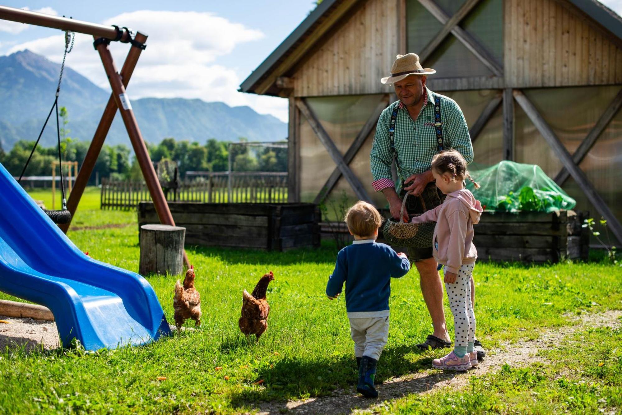 Farm stay Turisticna Kmetija Grabnar